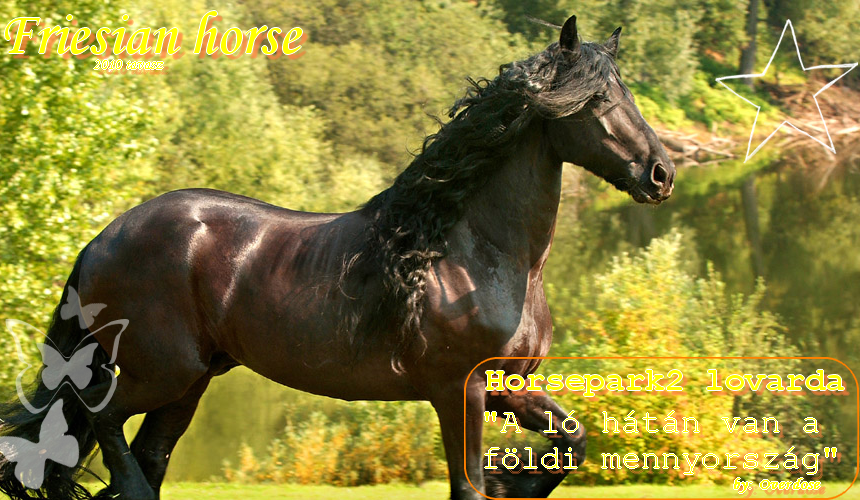 ♥ Horsepark2♥